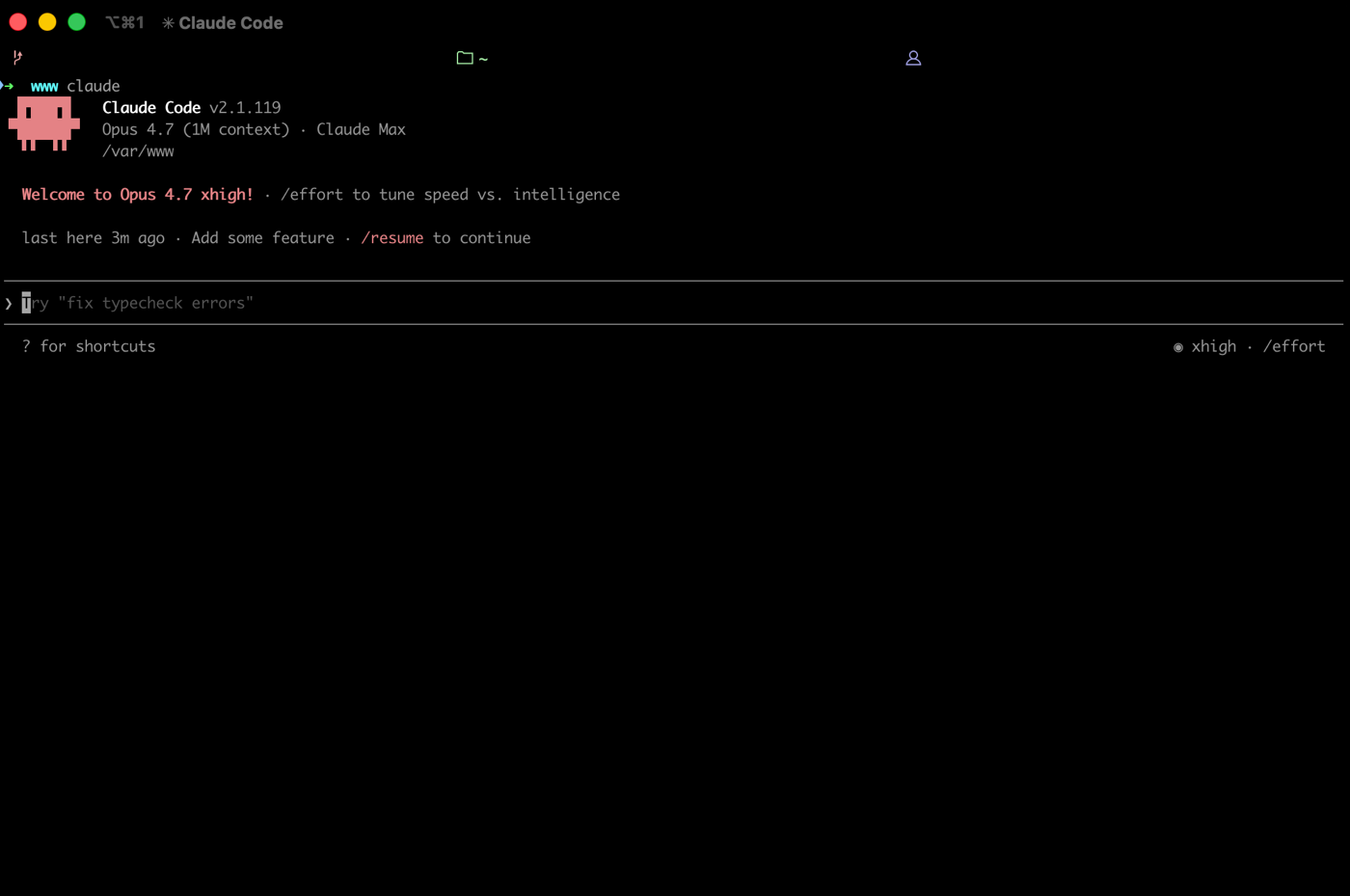 Claude Code running directly in a terminal